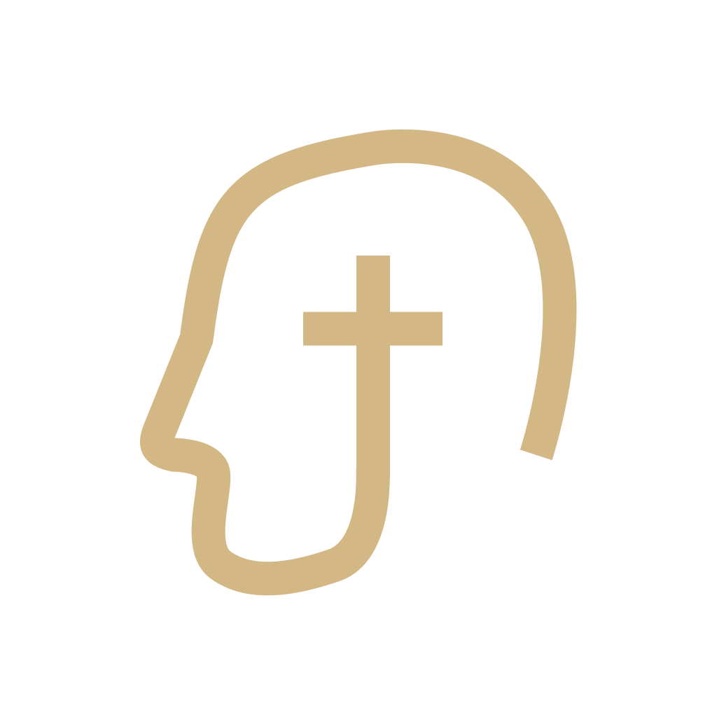 Insight Bible logo